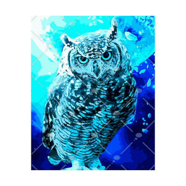 Картина за номерами Берегиня нічного сонця 40*50 КНО4089