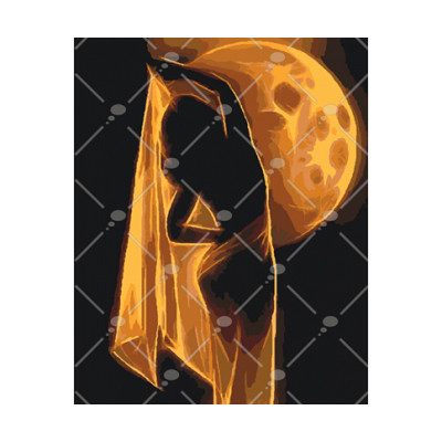 Картина за номерами Загадка сходу 40 * 50 КНО4547