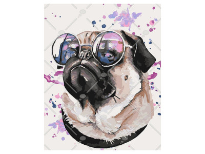 Картина за номерами "Задавака" 40*50 см КНО4108