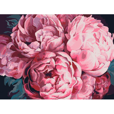 Картина за номерами "Розкішні півонії" тм Лавка Чудес 40 x 50 см у коробці LC40004