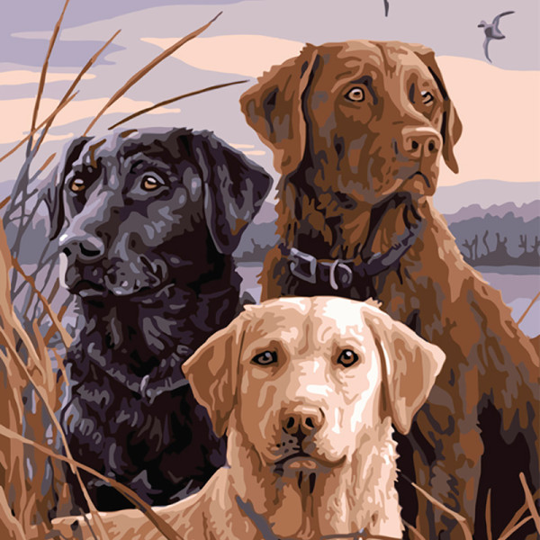 Картина за номерами "На полювання" 40*50 см 11680-AC