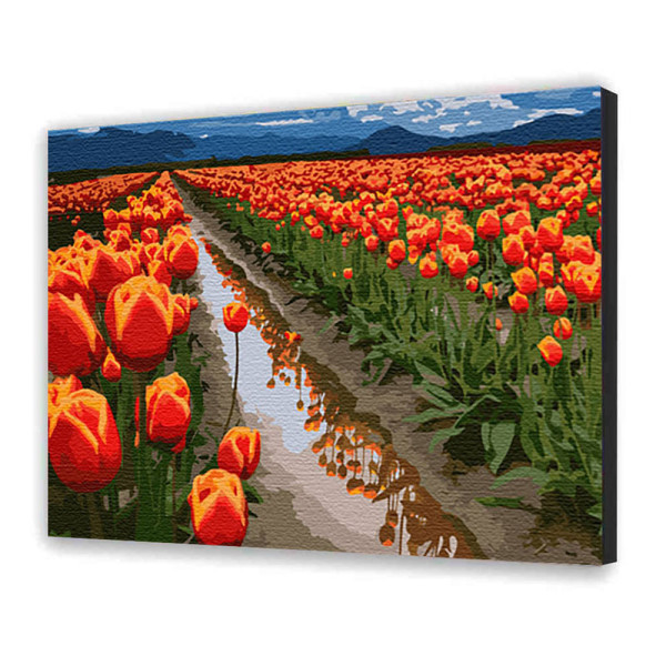 Картина за номерами "Поля у Голландії" 40х50 см 10524-AC