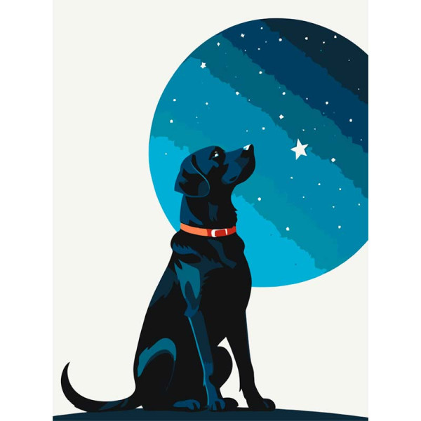 Картина за номерами Artcraft "Зоряний пес" 30*40 см 11714-AC