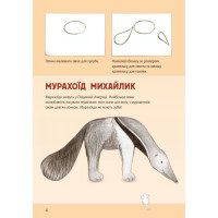 Книга Рисуем животных: Северная и Южная Америка (у) 655005
