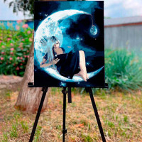 Картина за номерами Усамітнення на місяці Strateg 30х40 см SS-6501