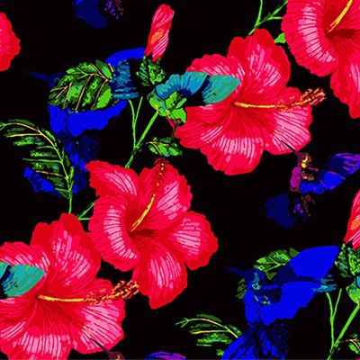 Картина за номерами Stateg Розкіш гібіскуса на чорному фоні 40х40 см AV4040-31