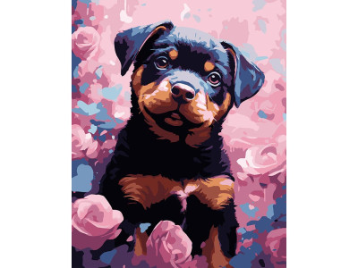 Картина за номерами Stateg Песик на чорному фоні 40х50 см AH1205-17