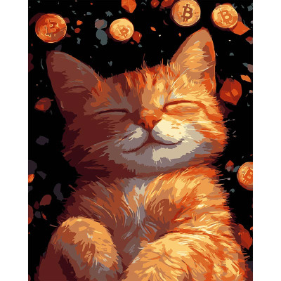 Картина за номерами Stateg Руде кошеня на чорному фоні 40х50 см AH1216-17