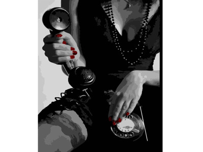 Картина за номерами Stateg Жінка з телефоном 40х50 см HH035