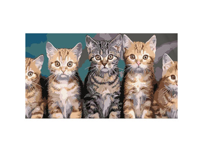 Картина за номерами Stateg Кошенята 50х25 см WW199