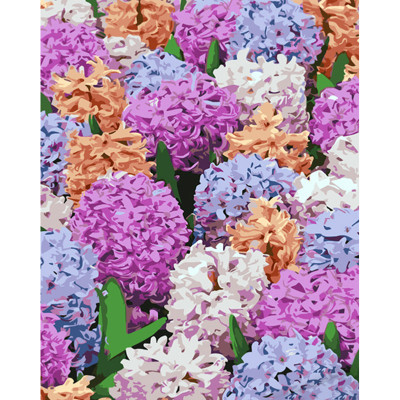 Картина за номерами квіти Різнобарвні гіацинти Strateg 40х50 см GS1062