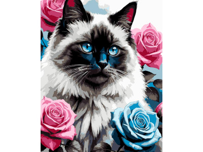 Картина за номерами Strateg Кіт з блакитними очима 40x50 см VG030
