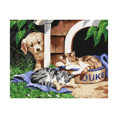 Картина за номерами "Герцог" 40*50 см КНО4118 Картина за номерами "Герцог" 40*50 см КНО4118