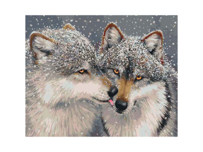 Картина за номерами Ніжне почуття 40 * 50 КН4025