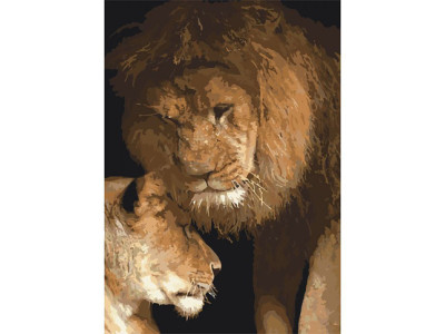 Картина за номерами Сила любові 35*50 КНО2489