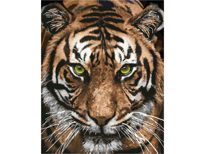 Картина за номерами "Могутній тигр" 40х50 см КНО4166