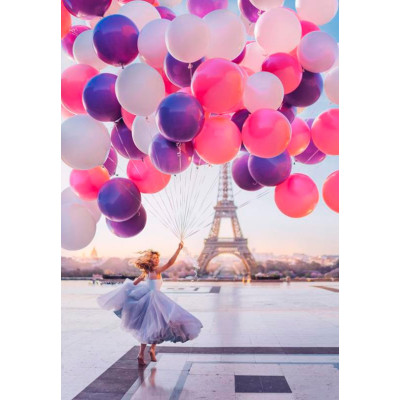 Картина за номерами "Кулі в Парижі" тм Лавка Чудес 40 x 50 см у коробці LC10004