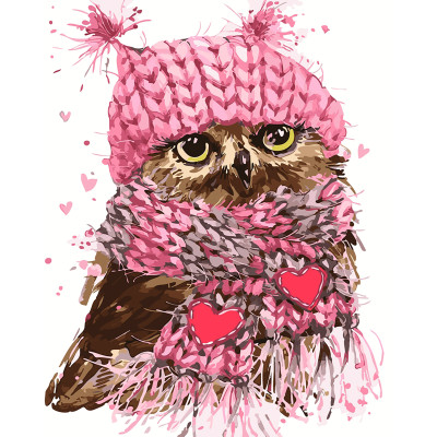 Картина за номерами "Совушка" тм Лавка Чудес 40 x 50 см у коробці LC20107