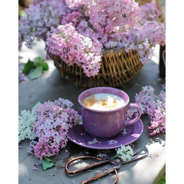 Картина за номерами "Бузок" тм Лавка Чудес 40 x 50 см у коробці LC40060