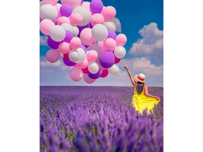 Картина за номерами "Прогулянка з кульками у полі" LC10046