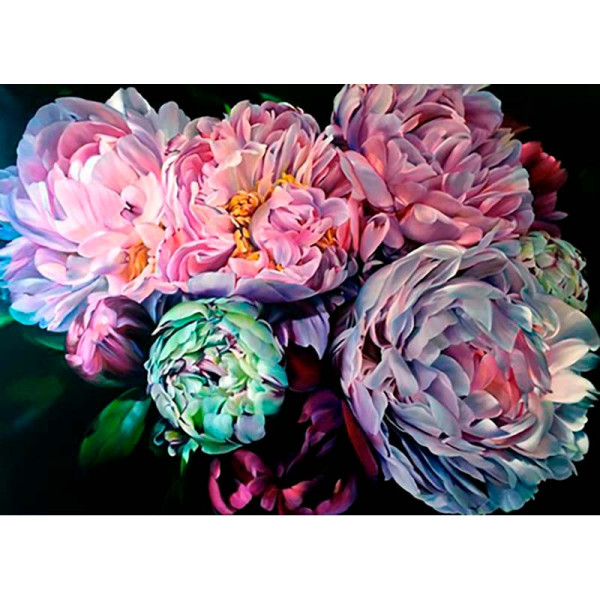 Картина за номерами "Чарівні півонії" LC40092