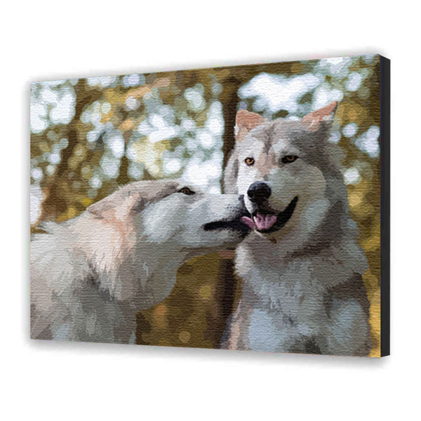 Картина за номерами "Більше за дружбу" 40х50 см 11605-AC