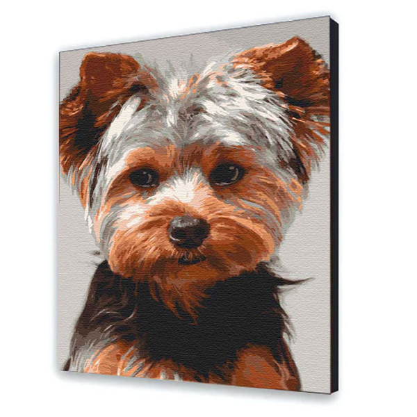 Картина за номерами "Йоркшир-терєр" 40*50 см 11644-AC