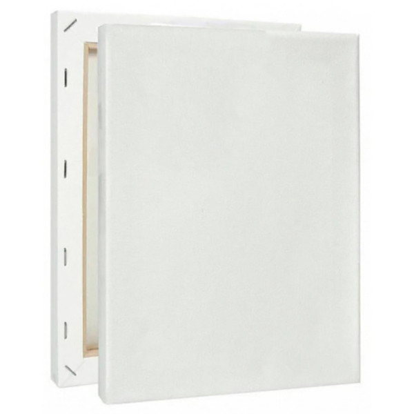 Холст на підрамнику 40*70 см 16024