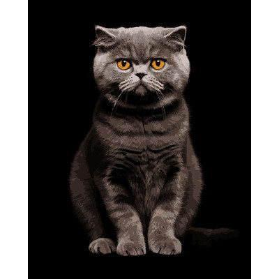 Картина за номерами Strateg Сірий аристократ на чорному фоні 40Х50 см AH1272