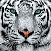 Картина по номерах Білий тигр Strateg 40х40 см SK023