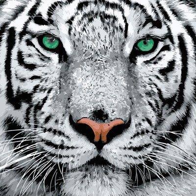 Картина по номерах Білий тигр Strateg 40х40 см SK023