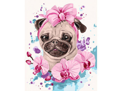 Картина за номерами Домашня улюблениця 40*50 см КНО4133