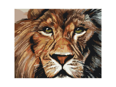 Картина за номерами Хижий погляд 2 40*50 КНО4024