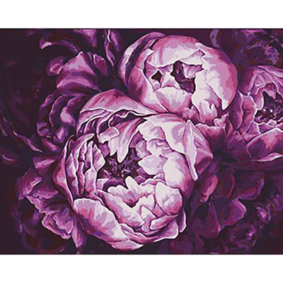 Картина за номерами Буство фарб 40*50 КН2076