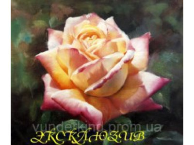 Картина за номерами Троянда Глорія 30*40 см VD 032