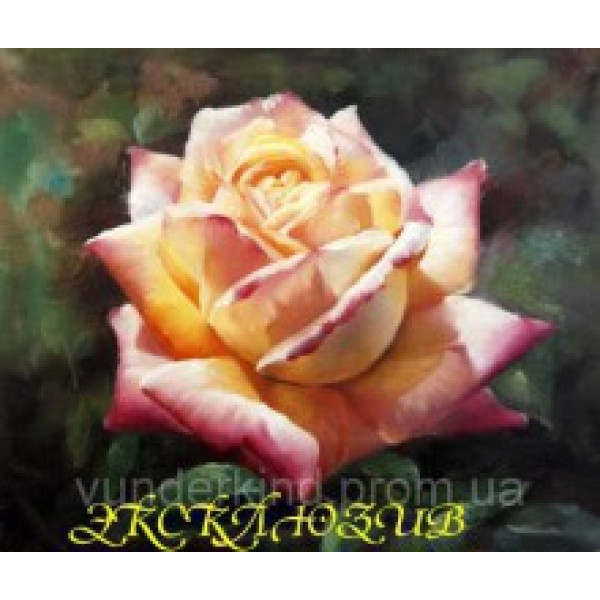 Картина за номерами Троянда Глорія 30*40 см VD 032