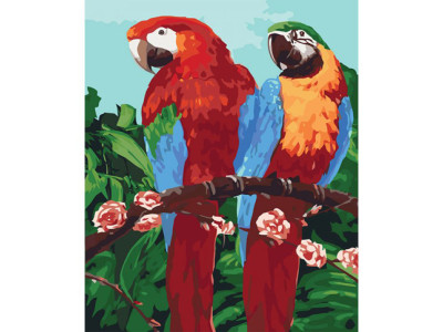 Картина за номерами Королівські папуги 40*50 КНО4051
