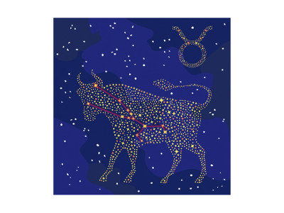 Картина за номерами Фарба "Металік" Знак Зодіаку Телець 50*50 см КН9507