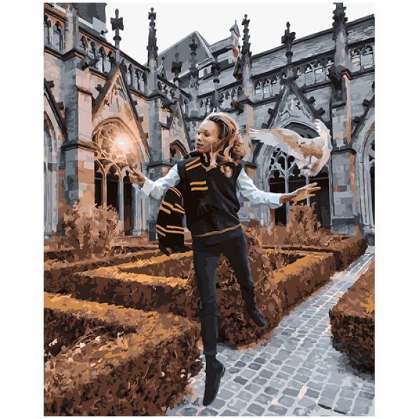 Картина за номерами "Чарівник Люмус" 40*50 см GX27966