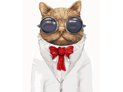 Картина за номерами Кіт в окулярах 40*50 см GX9391