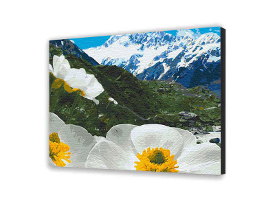 Картина за номерами "Альпійські маки" 40*50 см 10564-AC