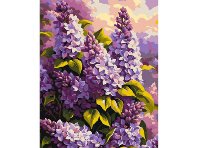 Картина за номерами Artcraft "Бузова ніжність" 40*50 см 13167-AC