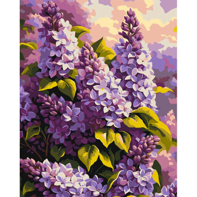 Картина за номерами Artcraft "Бузова ніжність" 40*50 см 13167-AC