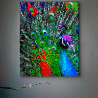Картина по номерах Різнобарвне піря павлина Strateg 40х50 см GS171