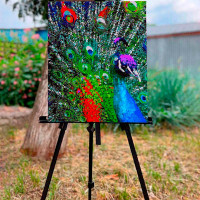 Картина по номерах Різнобарвне піря павлина Strateg 40х50 см GS171