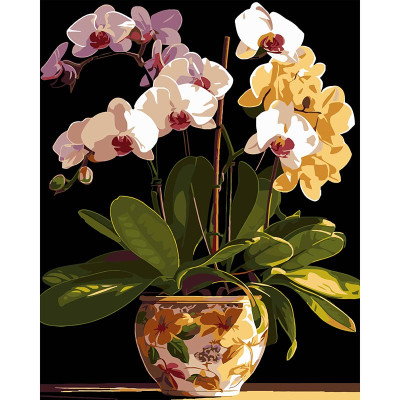 Картина за номерами Stateg Вазон орхідей на чорному фоні 40х50 см AH1198