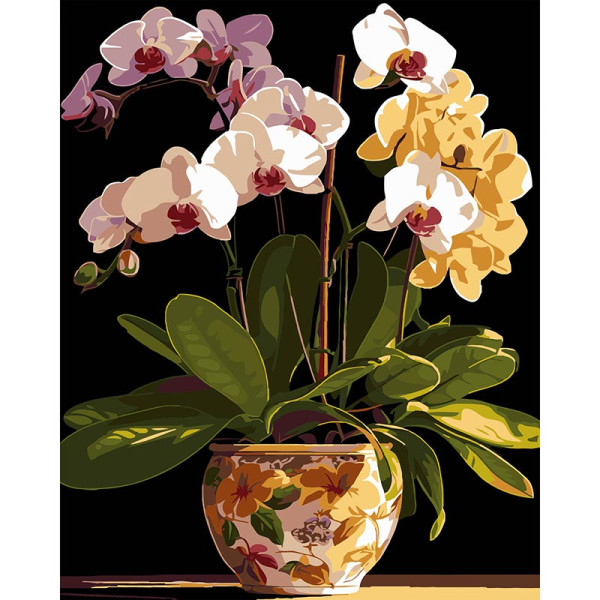 Картина за номерами Stateg Вазон орхідей на чорному фоні 40х50 см AH1198