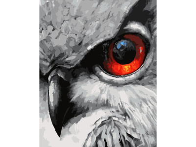 Картина за номерами Stateg Око сови 40х50 см SY6658