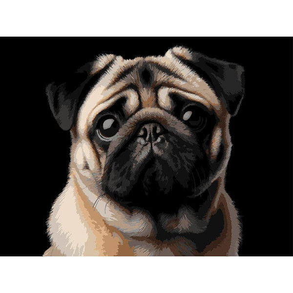 Картина за номерами Strateg Мопс на чорному фоні 30Х40 см FH-34