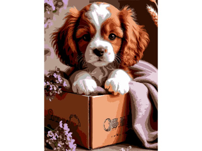 Картина за номерами Strateg Цуценя в коробці 30Х40 см SS-1287